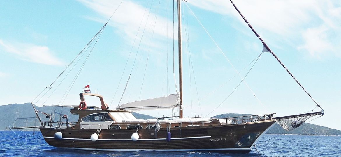 Oalis gulet charter