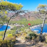 aktur bay