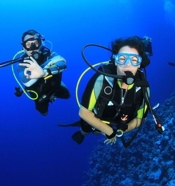 Scuba Diving Adventures
