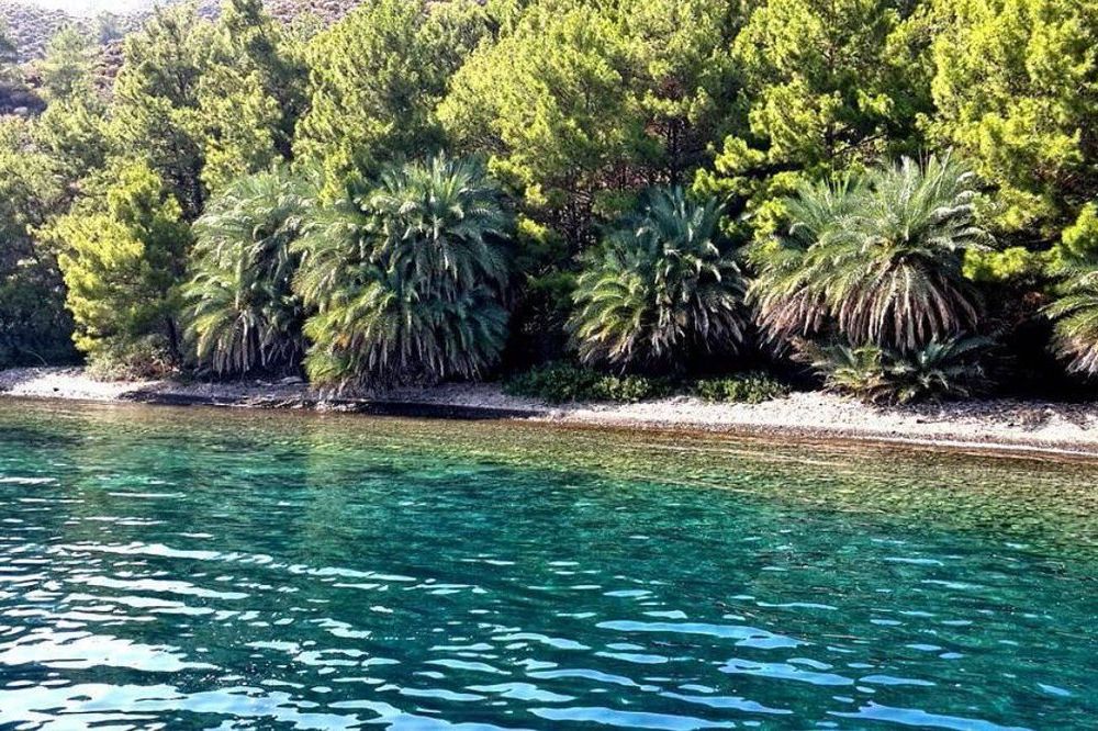 datça Hurmalibuk