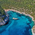 Wildlife Encounters Nature's Bounty Along Turkey's Cabin Charter Routes