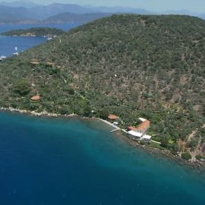 zeytin island