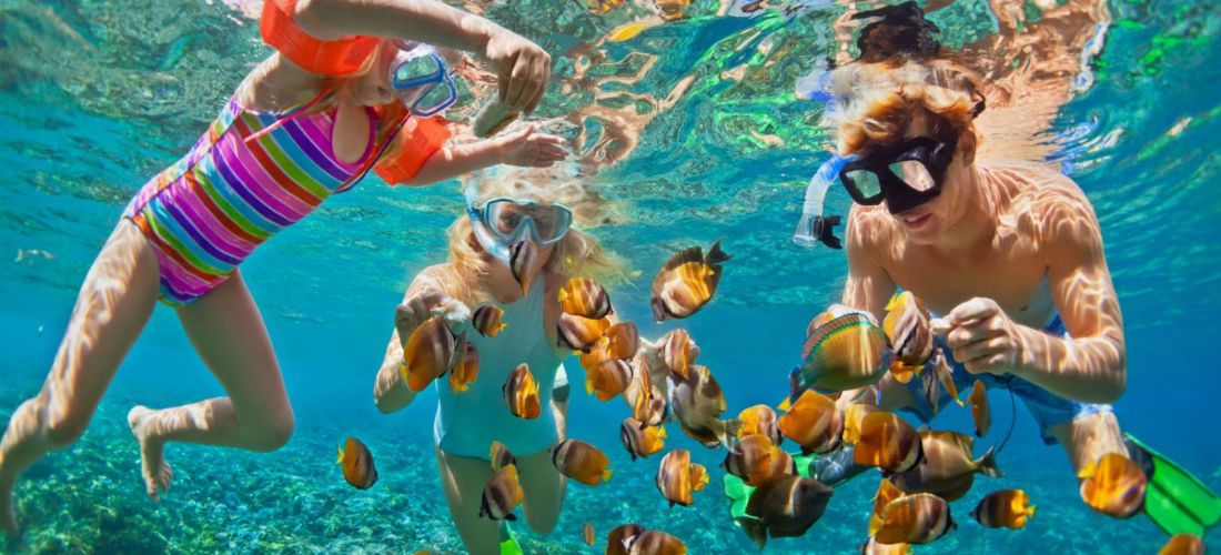 snorkeling