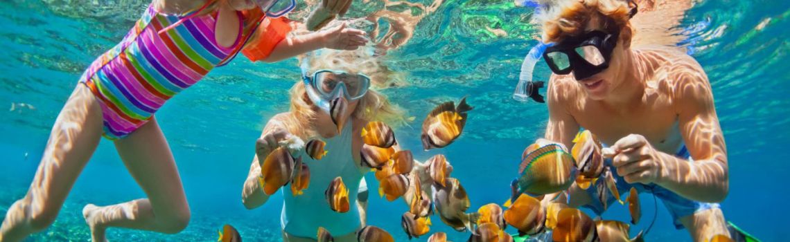 snorkeling